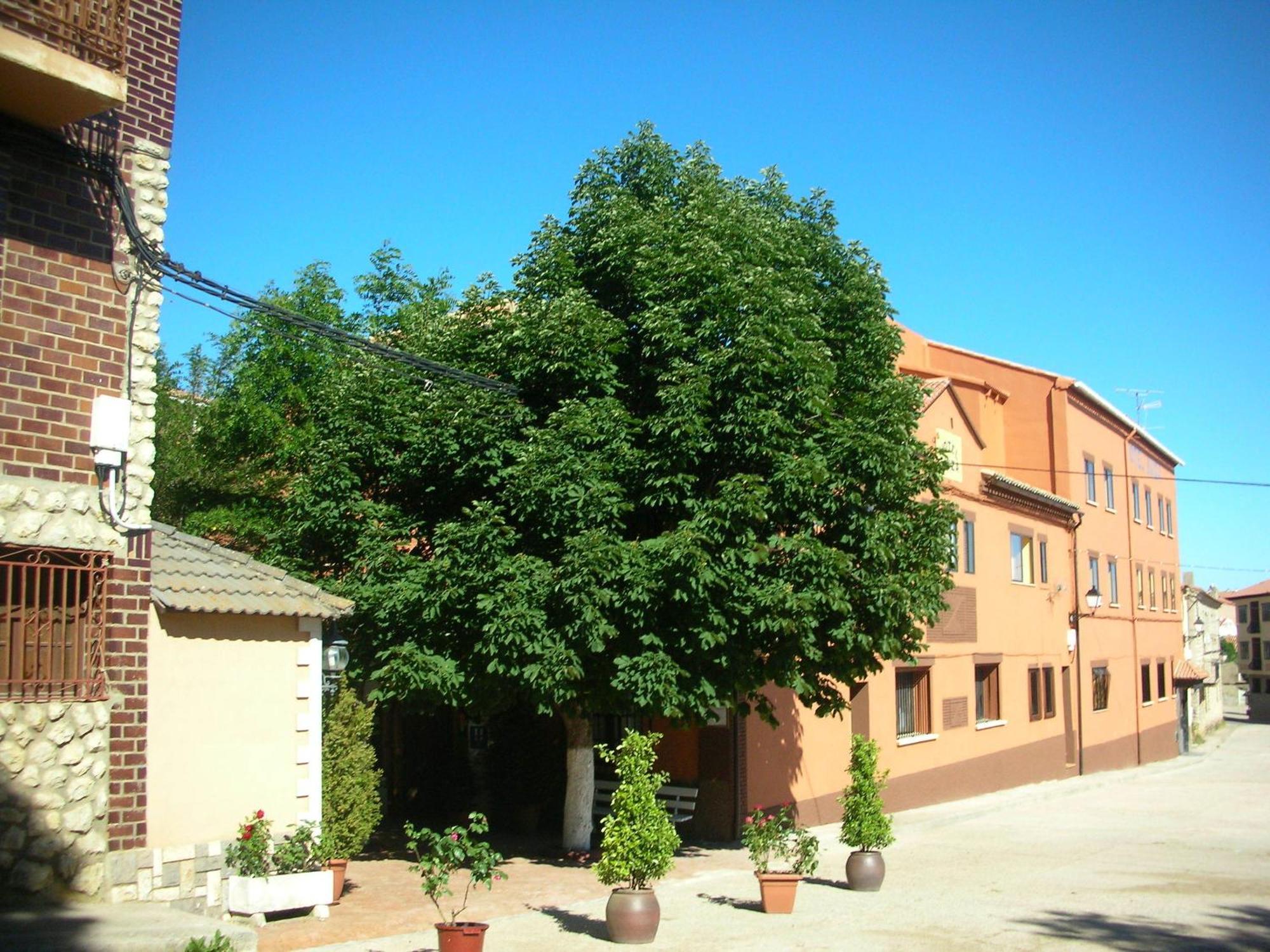 Hotel Suiza Bronchales Luaran gambar